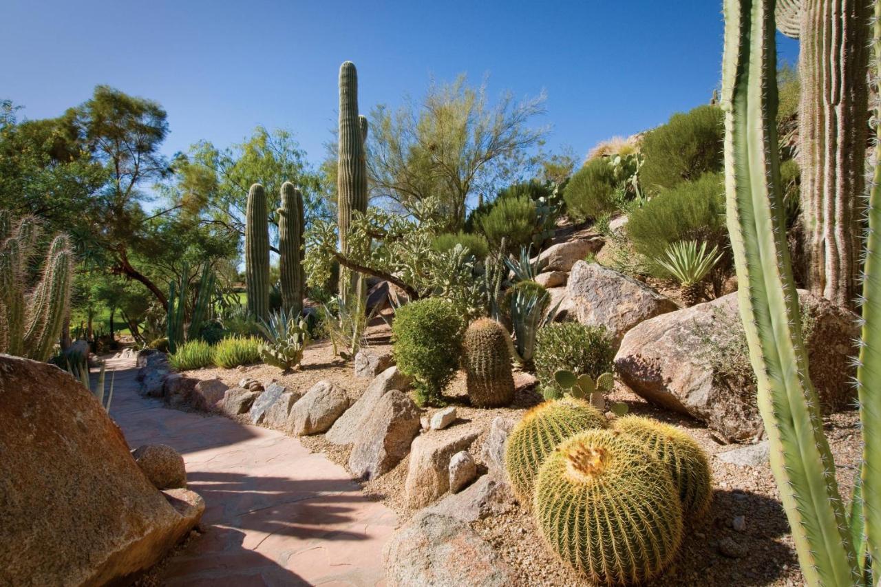 The Canyon Suites At The Phoenician, A Luxury Collection Resort, Scottsdale Paradise Valley Eksteriør bilde